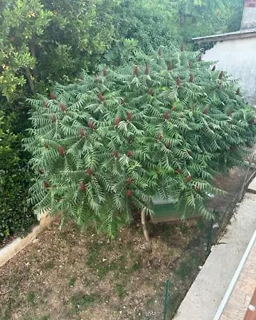 Deluxe Mimi With A Free Parking Space *